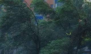 Вятър със скорост до 90 км/ч e отчетен в Сливен, предупредиха шофьорите да внимават на пътя