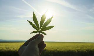 Американският щат Мериленд ще легализира марихуаната