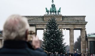 Скандал в Берлин! Екоактивисти "обезглавиха" официалното коледно дърво 