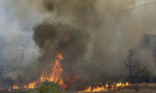 Голям горски пожар в Североизточна Испания