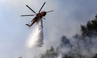 Над 50 пожара бушуват в Гърция