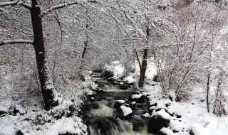 Времето днес, прогноза за неделя, 18 януари: Предимно облачно, застудяването продължава