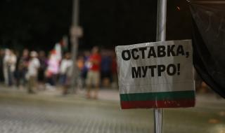 Български учени от цял свят подкрепиха протестите