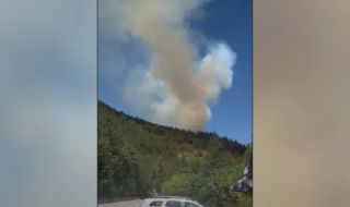 Голям горски пожар между Хвойна и Чепеларе