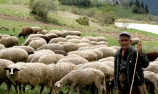 Облекчават се административни процедури при ОВОС и екологична оценка