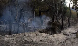 Албания продължава да се бори с горските пожари