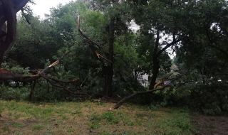Паднали дървета и отнесени покриви след силна буря в Пловдив