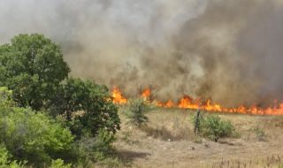 Кметът на Перник: Пожарът е локализиран