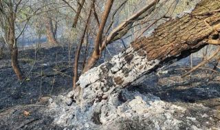 Пожарите край Хасково не стихват