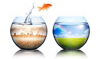 5 неща за живота, които не всеки знае