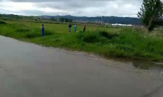 Край Нови Искър организират боеве с кучета