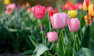 Weather today, forecast for Saturday, April 25: Mostly sunny and less windy 