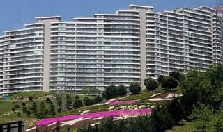 Страх от ново земетресение