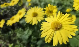 Weather today, forecast for Wednesday, April 15: Mostly sunny, light rain in the mountains over Southern Bulgaria 