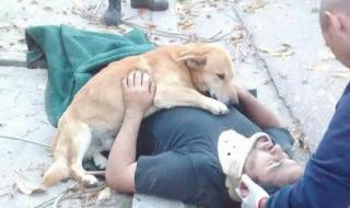 Трогателна история за вярност и истинска любов (СНИМКИ)