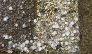 Градушка в центъра на София