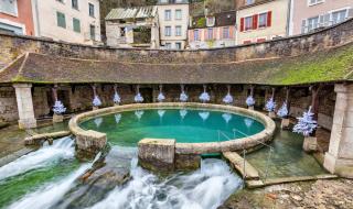 Жертва след жертва в мистериозен извор (СНИМКИ)