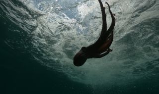 Откриха най-стария известен предшественик на октоподите