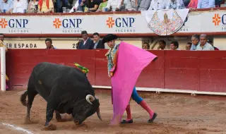 Колумбия забрани борбите с бикове