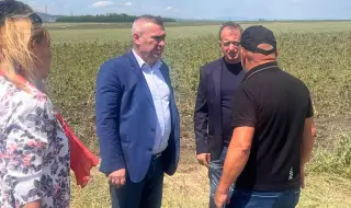 Тахов: Осигурени са средства за компенсиране на щетите от градушки
