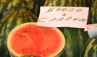 Заливат пазара с гръцки дини, тонове българска продукция остана на полето