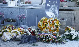 Тюленът - любимото животно на Брижит Бардо, беше с нея в последния ѝ земен път