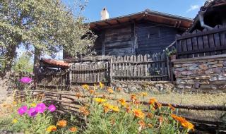 Лечебният манов мед привлича туристи в Странджа