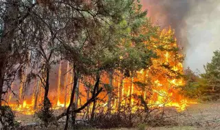 Association of Municipal Forests: Public Council to fight forest fires and floods 