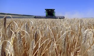 Украйна трябва да е готова да изнася зърно почти изцяло през дунавските си пристанища