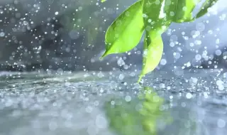 Weather today, forecast for Thursday, May 8: Rain with hail in Northern Bulgaria 
