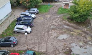 За месец: Глобиха над 100 шофьори за паркиране на тревата в София