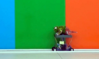 Китайски робот-хамелеон