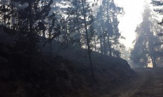 Първо във ФАКТИ: Пожар пълзи към Александруполис ВИДЕО