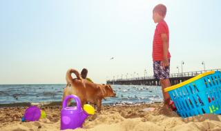 Слънце и вятър днес