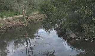 Доброволци почистват „пластмасовата река“ до Елешница