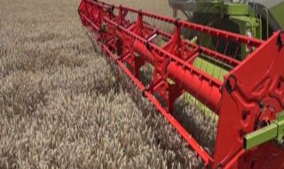 Земеделци излизат на протест срещу украинското зърно