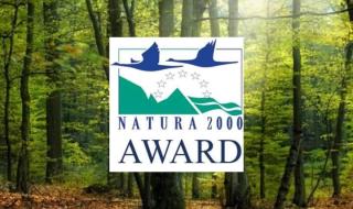 Тома Белев: Да подкрепим българските гори