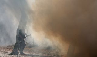900 пожарникари се борят с голям пожар в Югоизточна Франция 