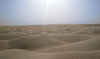 Откриха телата на 87 емигранти, починали от жажда в пустинята Сахара