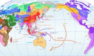 Хора са живели в Южна Америка преди 14 000 години