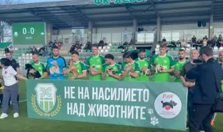 Хебър с призив: Насилието над животни няма място в нашия град, нито в страната ни!