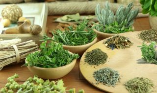 Как да готвим с пресни и сушени подправки