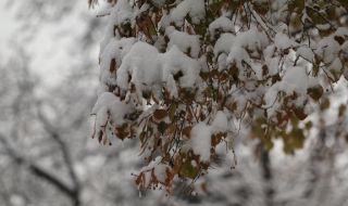 Опасно време в цялата страна