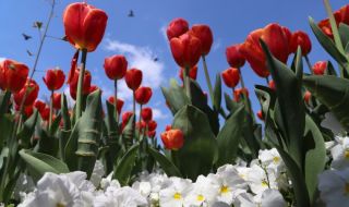 Времето днес, прогноза за събота, 29 април: Облачността се увеличава, температурите се покачват