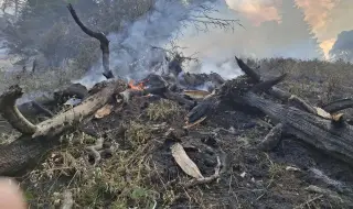Дъжд помага за гасенето на пожара в Рила