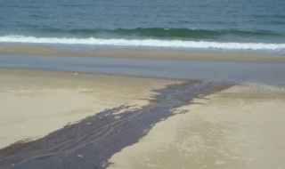 Фекални води на плажа в Равда