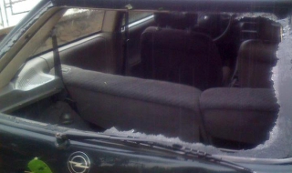 Оранжерии, коли и насаждения помляни от градушката в Ягодово