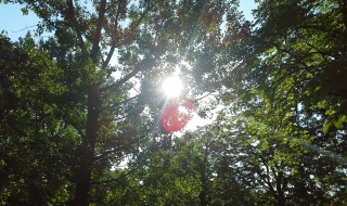 Днес ще е слънчево, ще превали на места