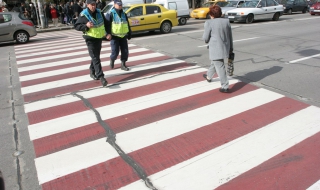 Първата светеща зебра е до Ректората