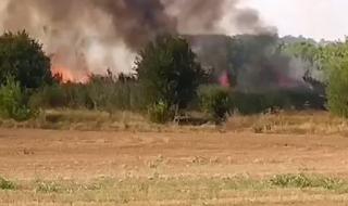 Нов пожар в Хасковска област